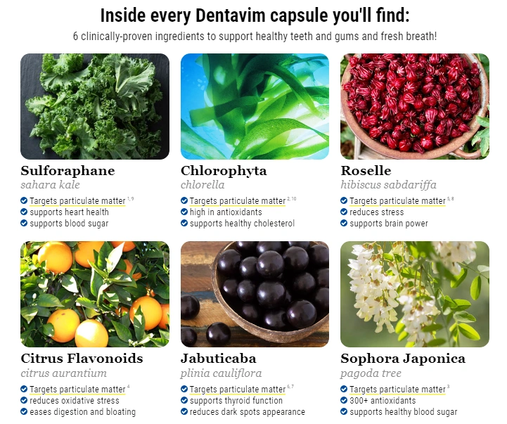 Dentavim-ingredients-image