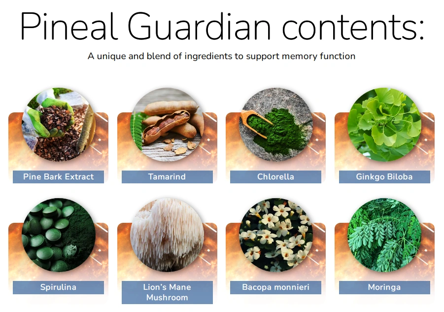 pineal-guardian ingredients image