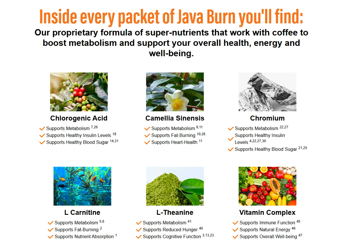 javaburn-ingredients-image