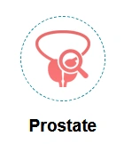 Health wellness prostate products